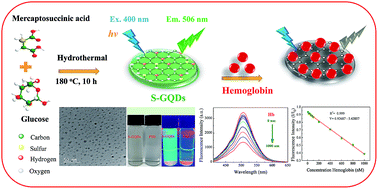 Graphical abstract: Sustainable fabrication of green luminescent sulfur-doped graphene quantum dots for rapid visual detection of hemoglobin
