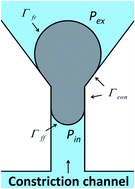 Graphical abstract: Measuring the apparent viscosities of single cells by tracking the entire deformation dynamics in microfluidic channels
