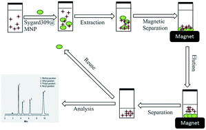 Graphical abstract: Magnetite nanoparticles coated with surfactant Sylgard 309 and its application as an adsorbent for paraben extraction from pharmaceutical and water samples
