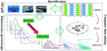 Graphical abstract: Discussion on dual–tree complex wavelet transform and generalized regression neural network based concentration-resolved fluorescence spectroscopy for oil identification