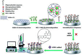 Graphical abstract: Determination of aflatoxin M1 using an aptamer-based biosensor immobilized on the surface of dendritic fibrous nano-silica functionalized by amine groups