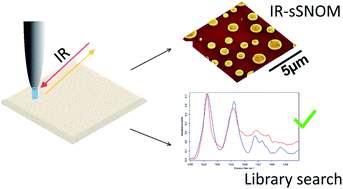 Graphical abstract: Library based identification and characterisation of polymers with nano-FTIR and IR-sSNOM imaging