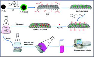 Graphical abstract: Magnetic graphene oxide decorated with chitosan and Au nanoparticles: synthesis, characterization and application for detection of trace rhodamine B
