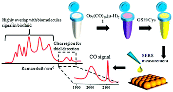 Graphical abstract: A dual-mode biosensor combining transition metal carbonyl-based SERS and a colorimetric readout for thiol detection