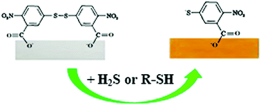 Graphical abstract: A portable, disposable, and low-cost optode for sulphide and thiol detection