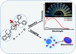 Graphical abstract: A targetable fluorescent probe for imaging of mitochondrial viscosity in living cells