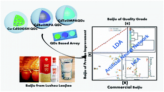 Graphical abstract: Quantum dot-based Baijiu fluorescent identification sensor array jointly verified by multivariate analysis and radial basis function neural network