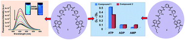 Graphical abstract: Naphthalimide-linked bispyridinium clefts in selective aqueous sensing of triphosphate and triphosphate-based biomolecules