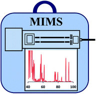 Graphical abstract: Direct analysis and monitoring of organosulphur compounds in the gaseous phase using portable mass spectrometry