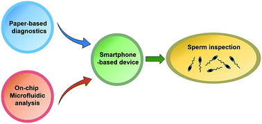 Graphical abstract: Development and prospects of microfluidic platforms for sperm inspection