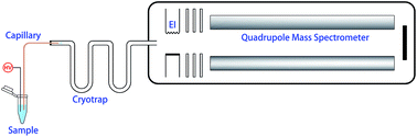 Graphical abstract: Capillary introduction mass spectrometry coupled with selective cryotrapping for analysis of volatile compounds in water