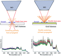 Graphical abstract: Improved performance of near infrared excitation Raman spectroscopy using reflective thin-film gold on glass substrates for cytology samples