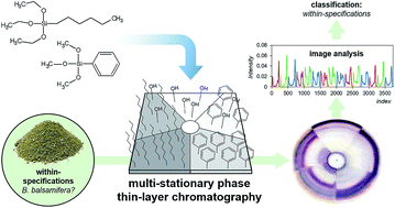 Graphical abstract: Radial multi-stationary phase thin-layer chromatography for the field-ready fingerprinting of herbal materials