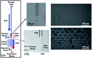 Graphical abstract: A microfluidic platform integrating pressure-driven and electroosmotic-driven flow with inline filters for affinity separations