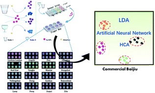 Graphical abstract: A metal ion-regulated colorimetric sensor array: discriminating Chinese Baijiu from other beverages