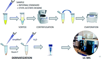 Graphical abstract: Liquid chromatography-tandem mass spectrometry for monitoring vitamin D hydroxymetabolites in human aqueous humor