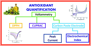 Graphical abstract: Comparison of electrochemical methods using CUPRAC, DPPH, and carbon paste electrodes for the quantification of antioxidants in food oils