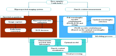 Graphical abstract: Development of simplified models for the nondestructive testing of rice with husk starch content using hyperspectral imaging technology