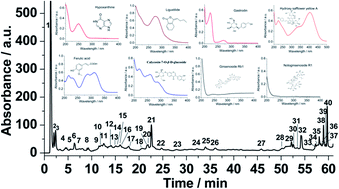 Graphical abstract: Development of a novel UHPLC-UV combined with UHPLC-QTOF/MS fingerprint method for the comprehensive evaluation of Nao-Luo-Xin-Tong: multi-wavelength setting based on traditional Chinese medicinal prescription composition