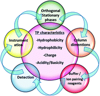 Graphical abstract: A simple, sensitive, high-resolution, customized, reverse phase ultra-high performance liquid chromatographic method for related substances of a therapeutic peptide (bivalirudin trifluoroacetate) using the quality by design approach