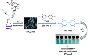 Graphical abstract: A manganese oxide (MnOx)-Based colorimetric nanosensor for indirect measurement of lipophilic and hydrophilic antioxidant capacity