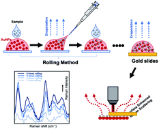 Graphical abstract: Development of a facile rolling method to amplify an analyte's weak SERS activity and its application for chlordane detection