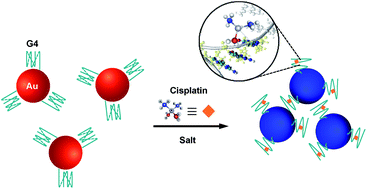 Graphical abstract: A nanobiosensor for the simple detection of small molecules using non-crosslinking aggregation of gold nanoparticles with G-quadruplexes