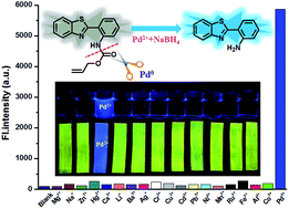 Graphical abstract: A highly sensitive and selective fluorescent probe based on a Pd-catalyzed reaction for detection of Pd2+