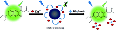 Graphical abstract: The construction of a CND/Cu2+ fluorescence sensing system for the ultrasensitive detection of glyphosate