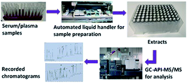 Graphical abstract: Automated sample preparation and GC-API-MS/MS as a powerful tool for analysis of legacy POPs in human serum and plasma