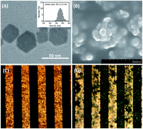 Graphical abstract: A bimetallic PtPd hybrid nanostructure-amplified enzyme-free conductometric immunoassay for lipocalin-2 in renal cell carcinoma on an interdigitated micro-comb electrode