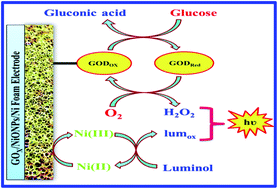 Graphical abstract: A highly sensitive ECL platform based on GOD and NiO nanoparticle decorated nickel foam for determination of glucose in serum samples