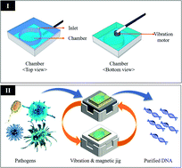 Graphical abstract: Development of a bacterial DNA extraction modular chip using a magnetic particle and portable vibration motor