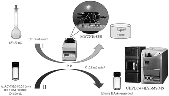 Graphical abstract: Multi-response optimization of a green solid-phase extraction for the analysis of heterocyclic aromatic amines in environmental samples