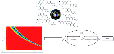 Graphical abstract: Quality by Design (QbD) approach for the development of a rapid UHPLC method for simultaneous determination of aglycone and glycoside forms of isoflavones in dietary supplements