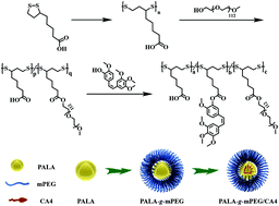 Graphical abstract: An eximious and affordable GSH stimulus-responsive poly(α-lipoic acid) nanocarrier bonding combretastatin A4 for tumor therapy