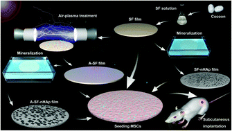 Graphical abstract: Air-plasma treatment promotes bone-like nano-hydroxylapatite formation on protein films for enhanced in vivo osteogenesis