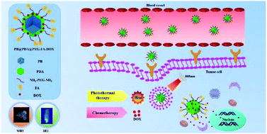 Graphical abstract: Folic acid-modified Prussian blue/polydopamine nanoparticles as an MRI agent for use in targeted chemo/photothermal therapy