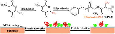 Graphical abstract: Trifluoromethyl-functionalized poly(lactic acid): a fluoropolyester designed for blood contact applications