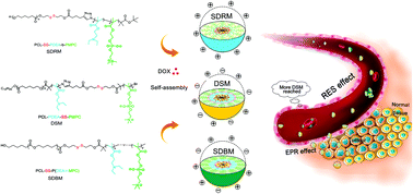 Graphical abstract: pH/redox dual-responsive amphiphilic zwitterionic polymers with a precisely controlled structure as anti-cancer drug carriers