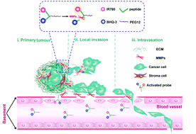 Graphical abstract: Targeting of an antecedent proteinase by an activatable probe with deep tissue penetration facilitates early visualization and dynamic malignancy evaluation of orthotopic pancreatic ductal adenocarcinoma (PDAC)