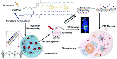 Graphical abstract: Highly stable near-infrared dye conjugated cerasomes for fluorescence imaging-guided synergistic chemo-photothermal therapy of colorectal cancer