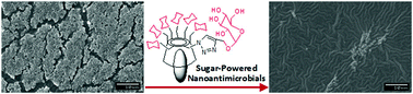 Graphical abstract: Sugar-powered nanoantimicrobials for combating bacterial biofilms