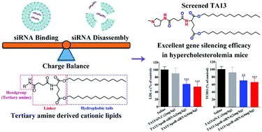 Graphical abstract: The development of tertiary amine cationic lipids for safe and efficient siRNA delivery