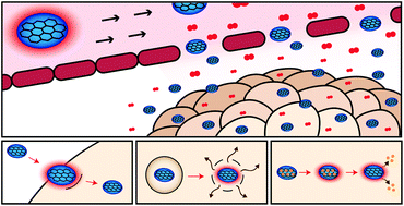 Graphical abstract: Graphene family nanomaterials for application in cancer combination photothermal therapy