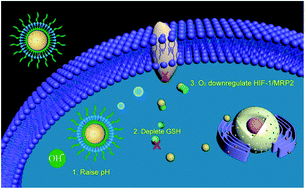 Graphical abstract: Enhancement of cisplatin efficacy by lipid–CaO2 nanocarrier-mediated comprehensive modulation of the tumor microenvironment