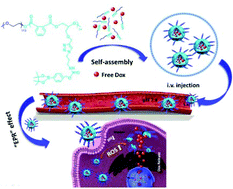 Graphical abstract: A PEGylated alternating copolymer with oxidation-sensitive phenylboronic ester pendants for anticancer drug delivery