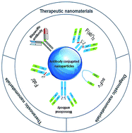 Graphical abstract: Antibody-guided nanomedicines as novel breakthrough therapeutic, diagnostic and theranostic tools