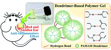 Graphical abstract: Preparation and evaluation of PAMAM dendrimer-based polymer gels physically cross-linked by hydrogen bonding