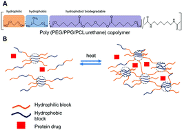 Graphical abstract: Sustained delivery of anti-VEGFs from thermogel depots inhibits angiogenesis without the need for multiple injections